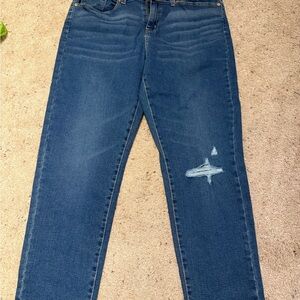 Signature by Levi Strauss Blue Straight Leg Jeans